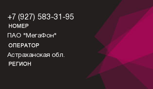 9275833195